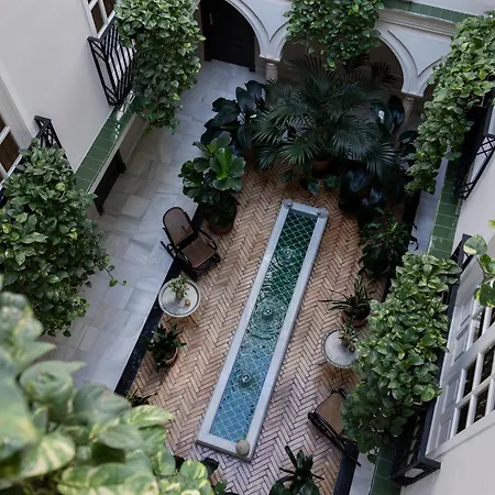 Gravina 51 4* Σεβίλλη